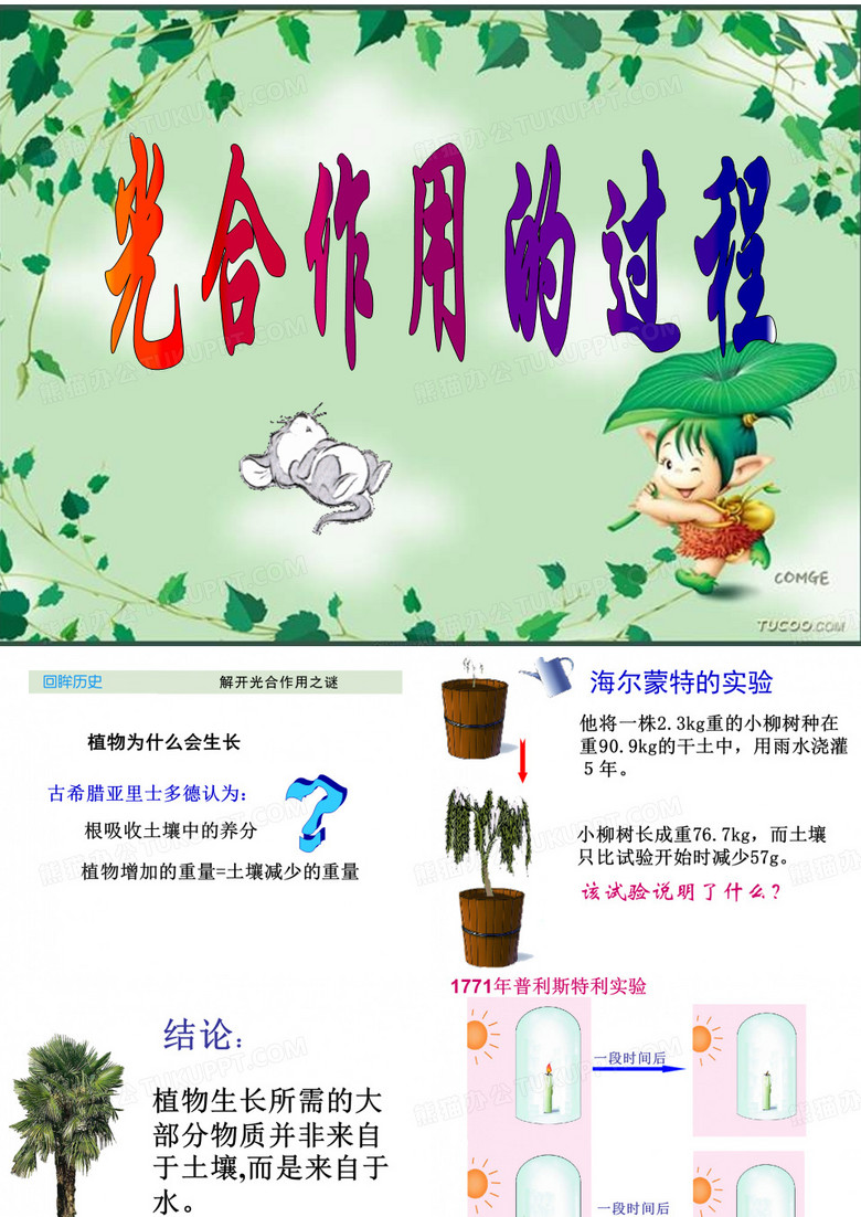 高中生物：光合作用的过程