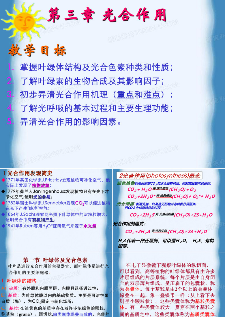 高中生物奥赛辅导光合作用