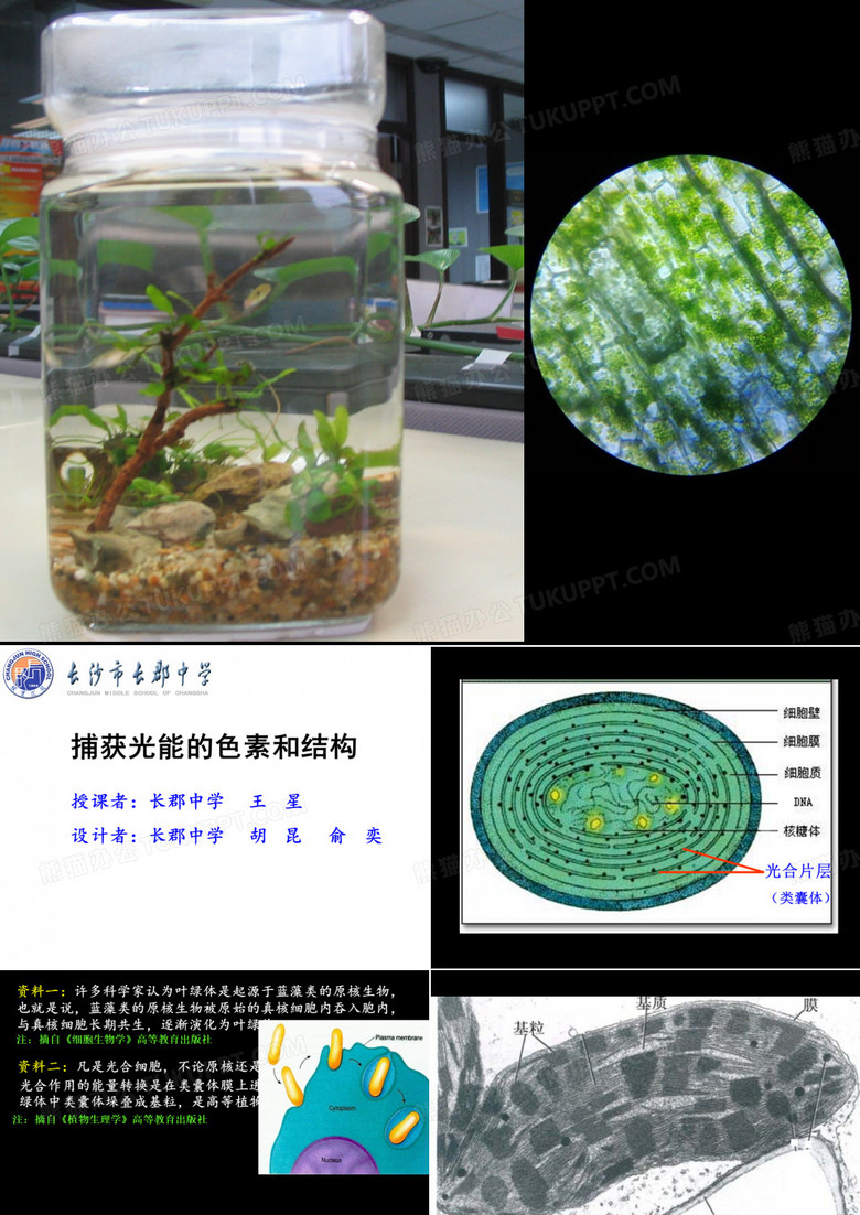 慕课课件