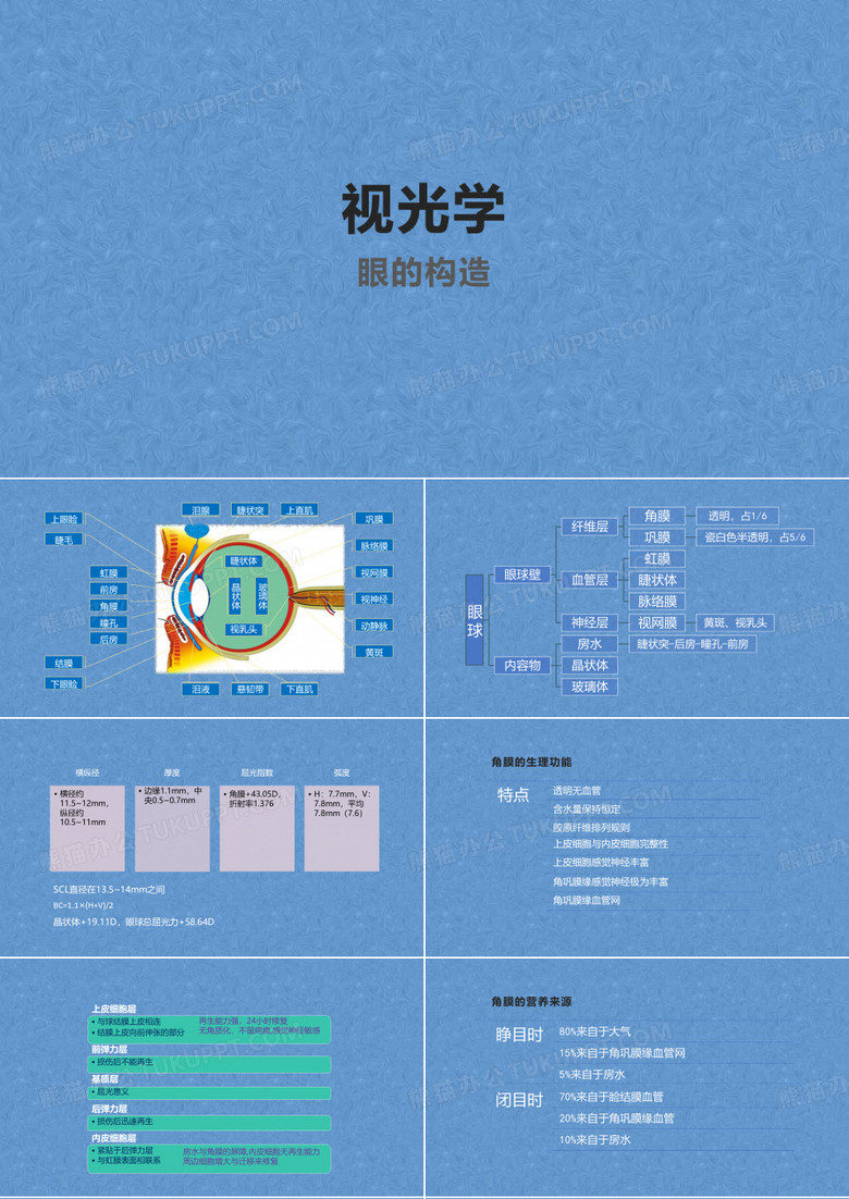 视光学眼球构造眼科眼球特性眼球与照相机