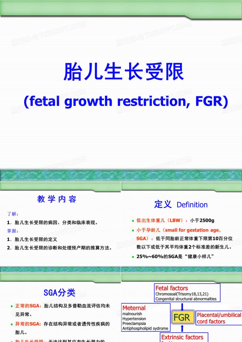 胎儿生长受限
