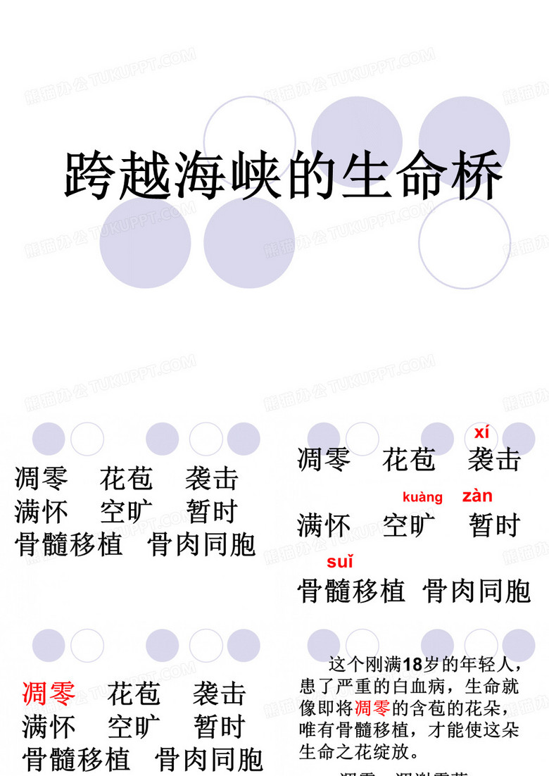 《跨越海峡的生命桥》课件