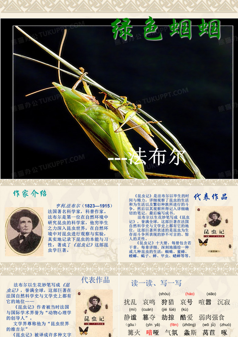 《绿色蝈蝈》