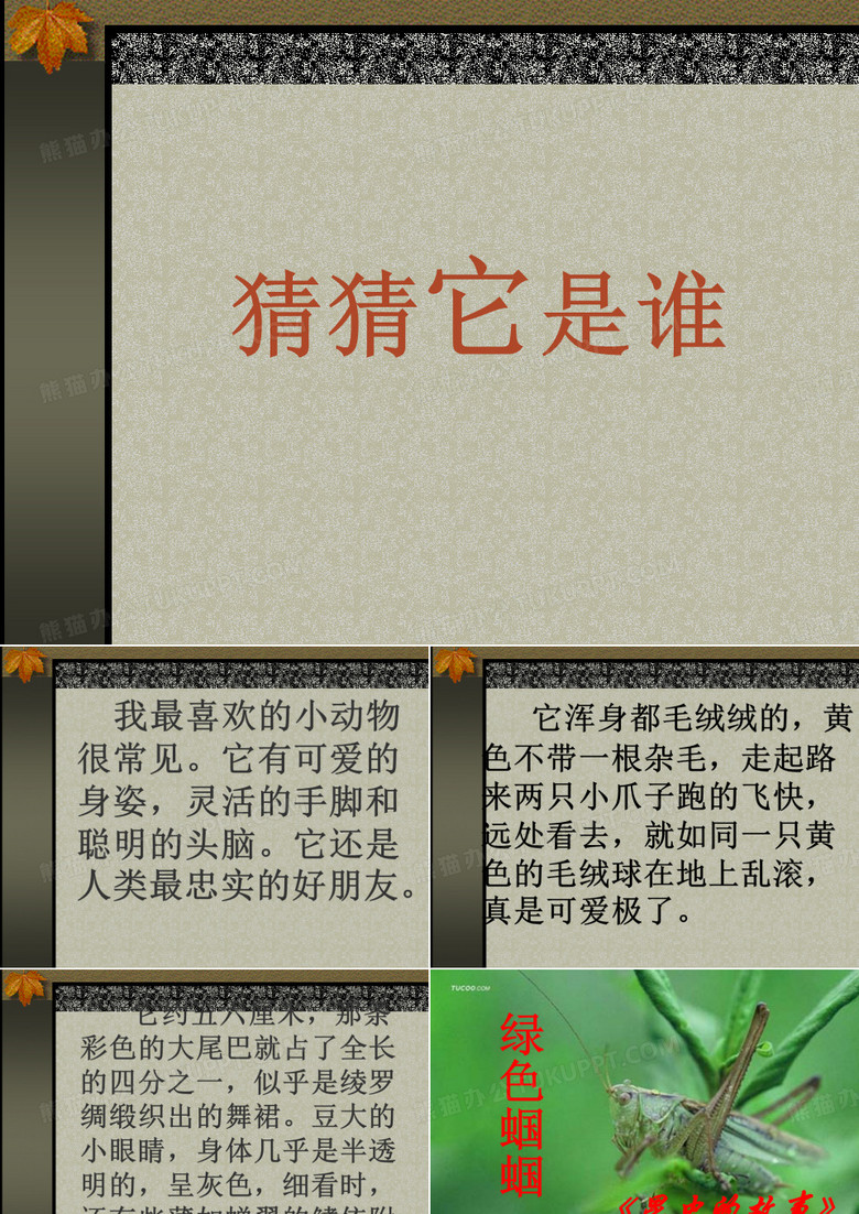 《绿色蝈蝈》