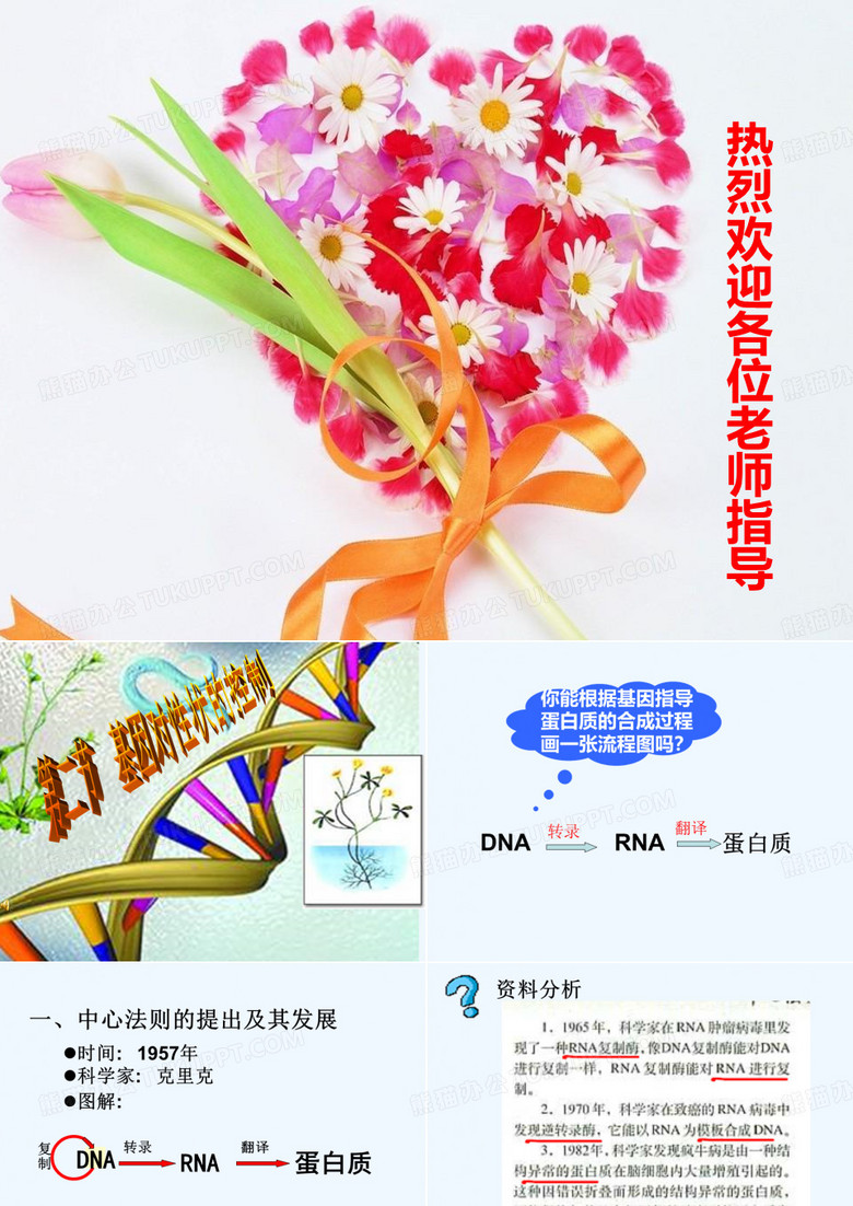 基因对性状控制