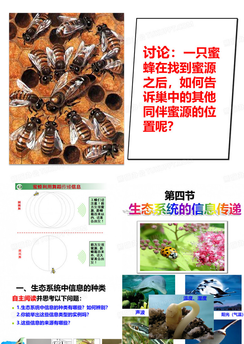 生态系统的信息传递