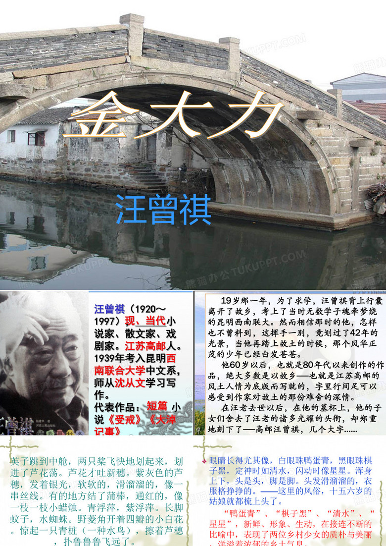 汪曾祺  金大力