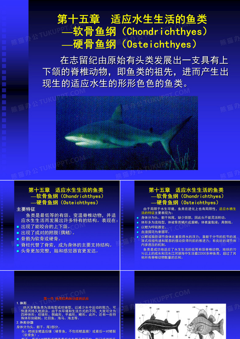 第十四章 鱼纲