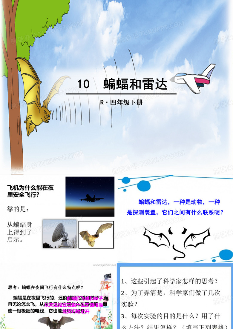蝙蝠和雷达