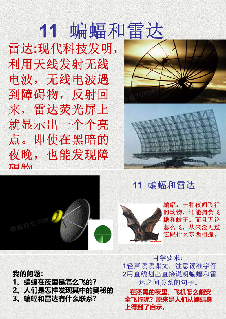 蝙蝠和雷达