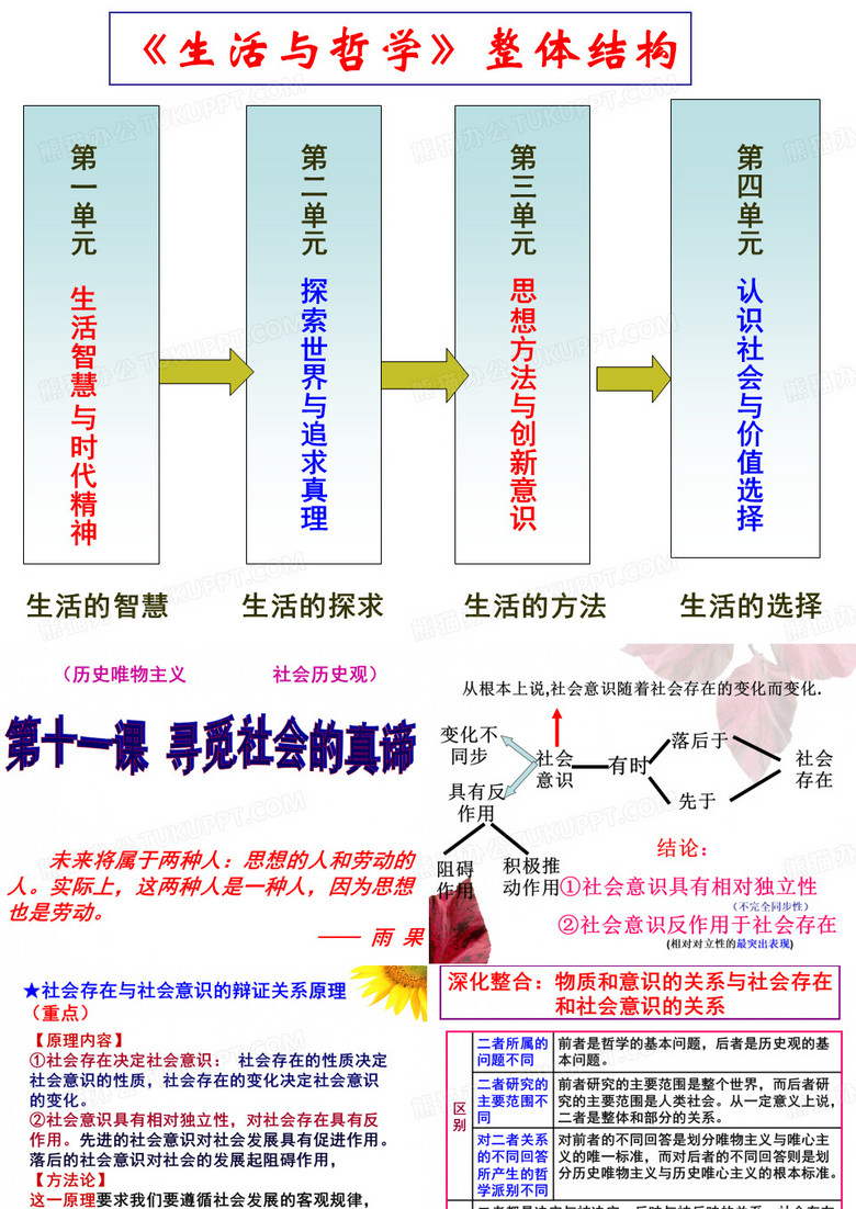 寻觅社会的真谛