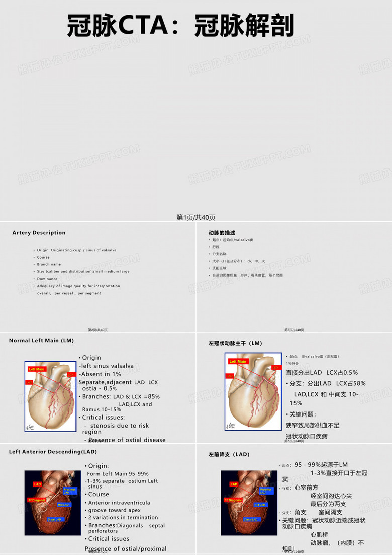 冠脉CTA冠脉解剖