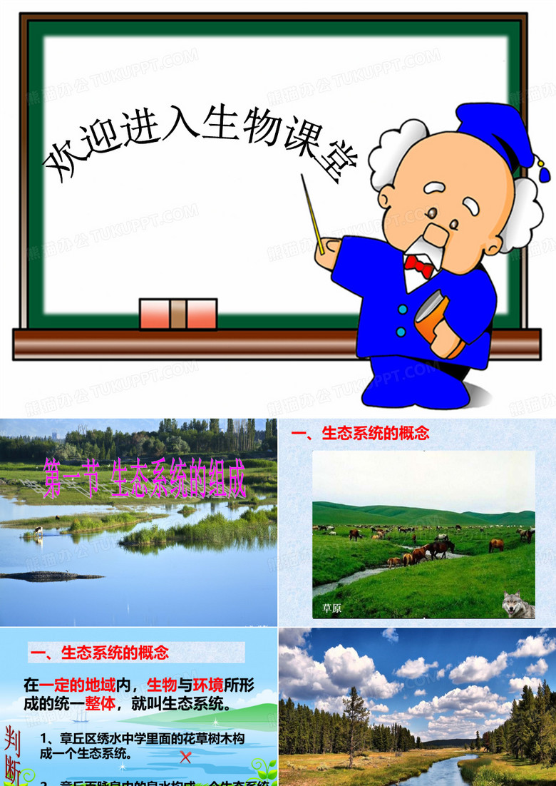 生态系统的组成