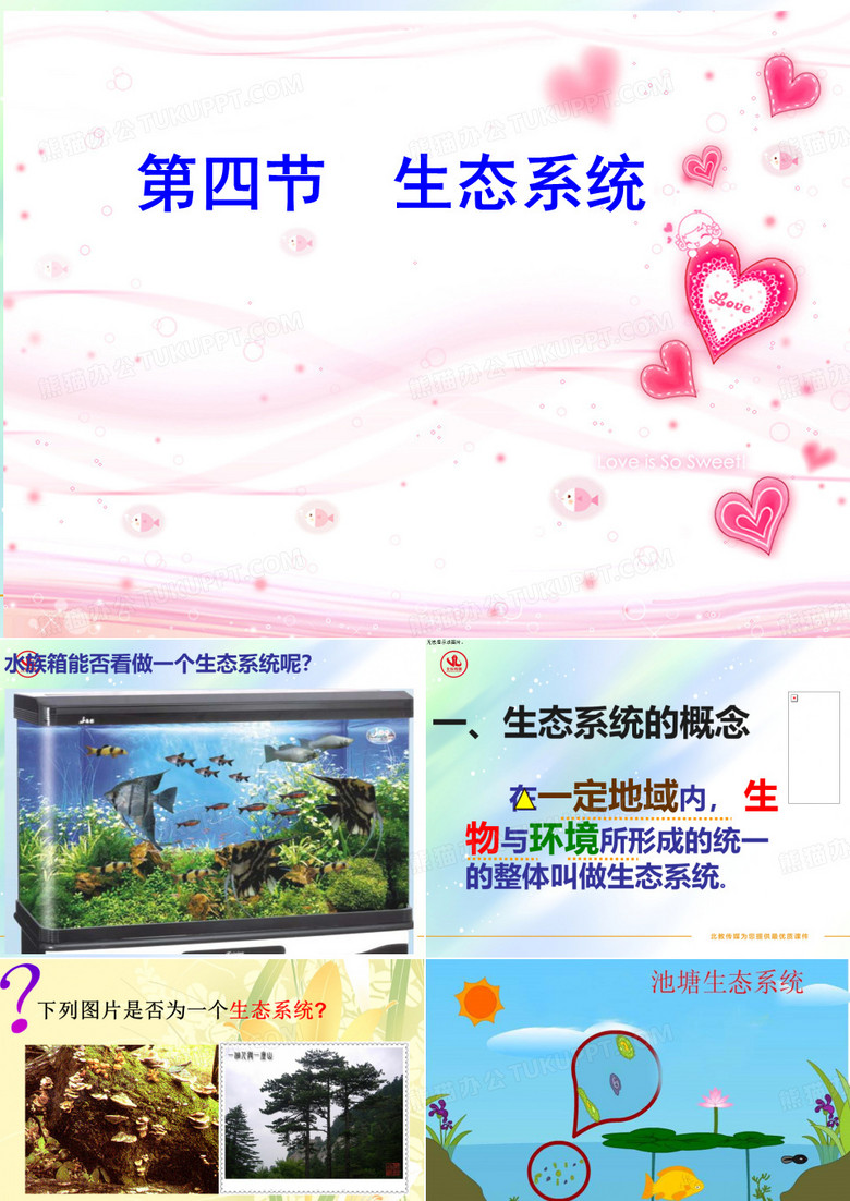 生态系统的组成