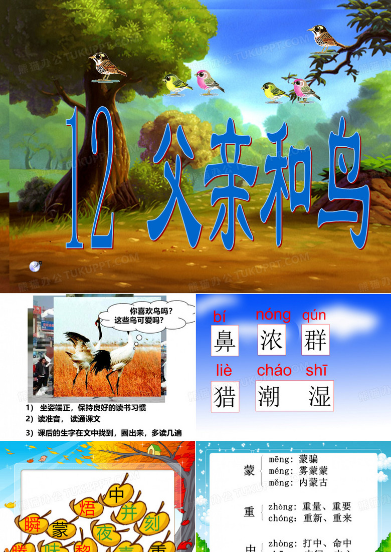 父亲和鸟