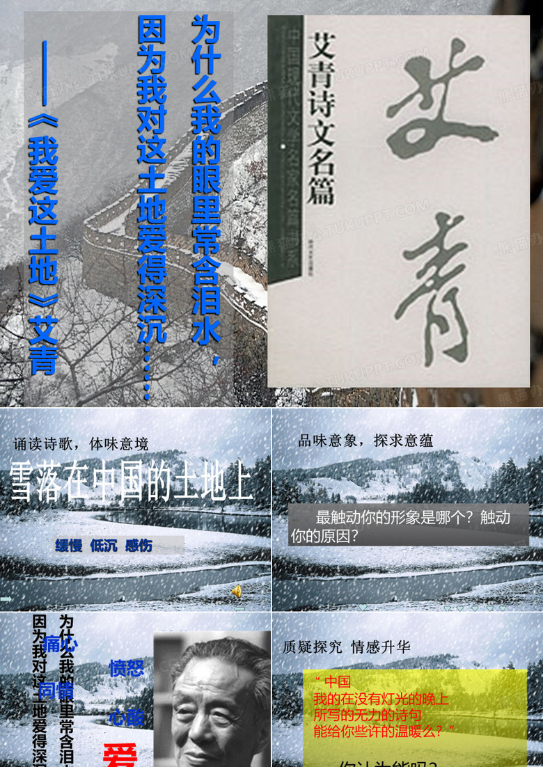 《雪落在中国的土地上》 