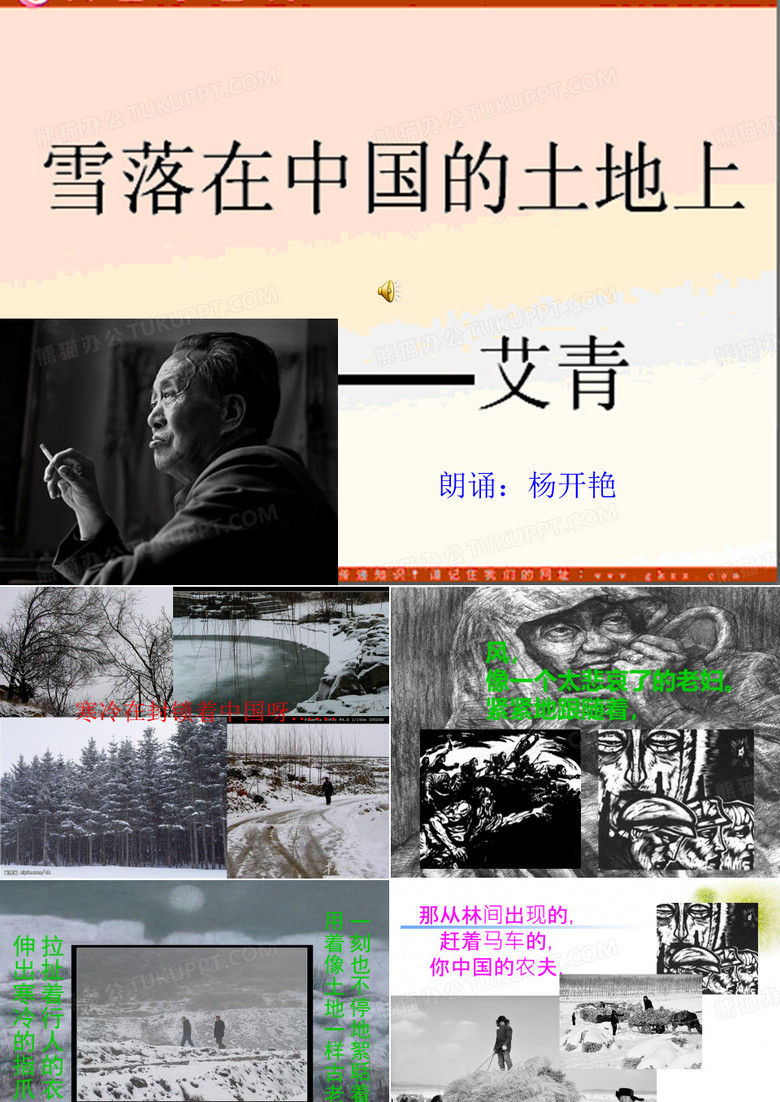 《雪落在中国的土地上》演讲稿