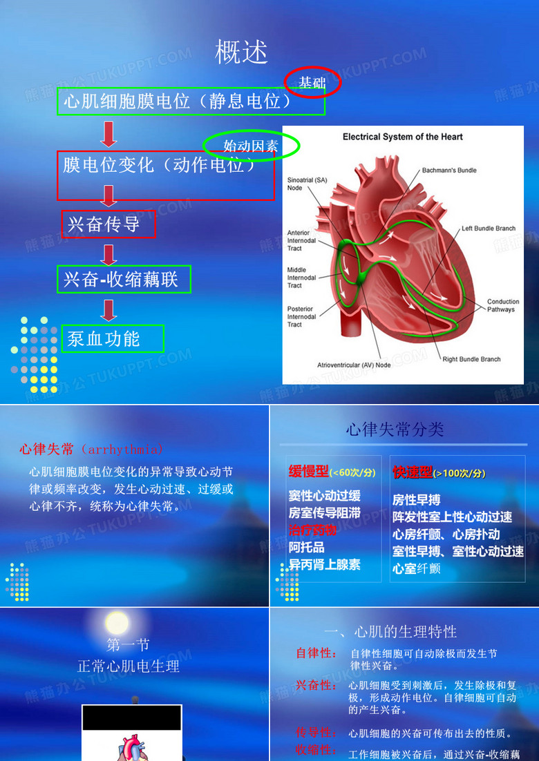 心肌细胞膜电位(静息电位)膜电位变化(动作电位)