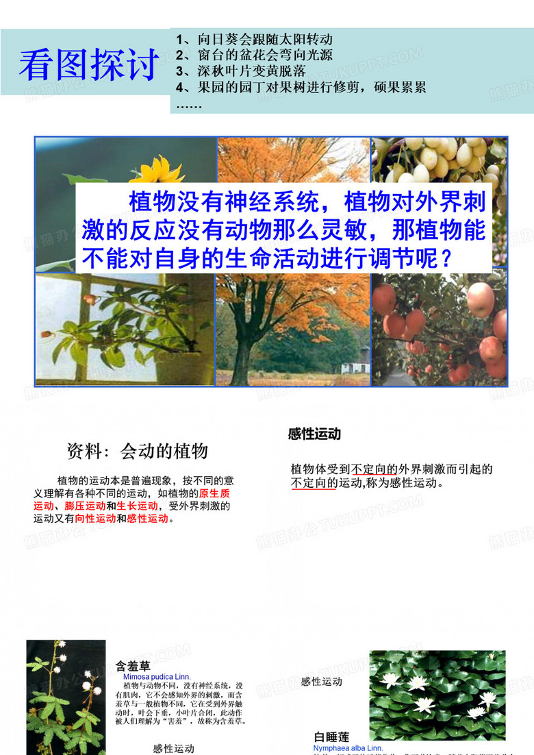 植物激素调节