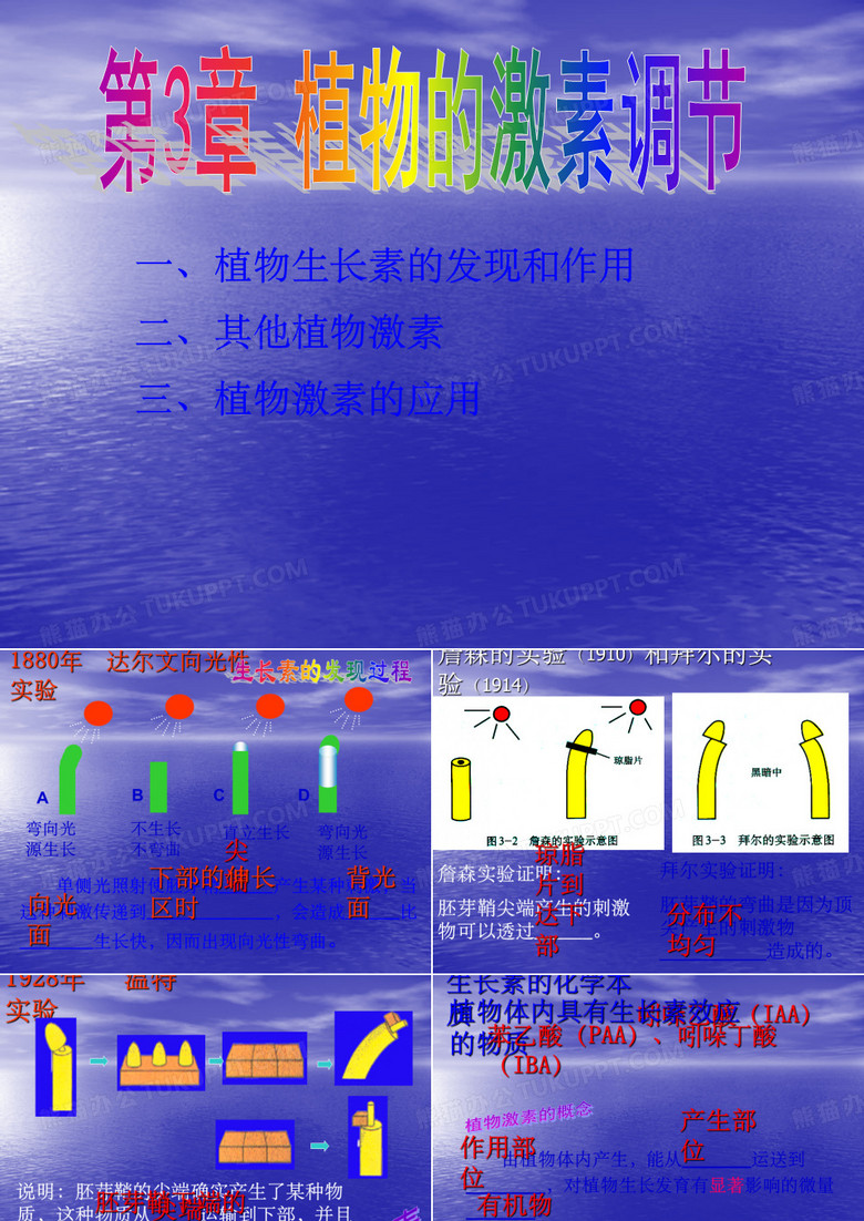 植物的激素调节