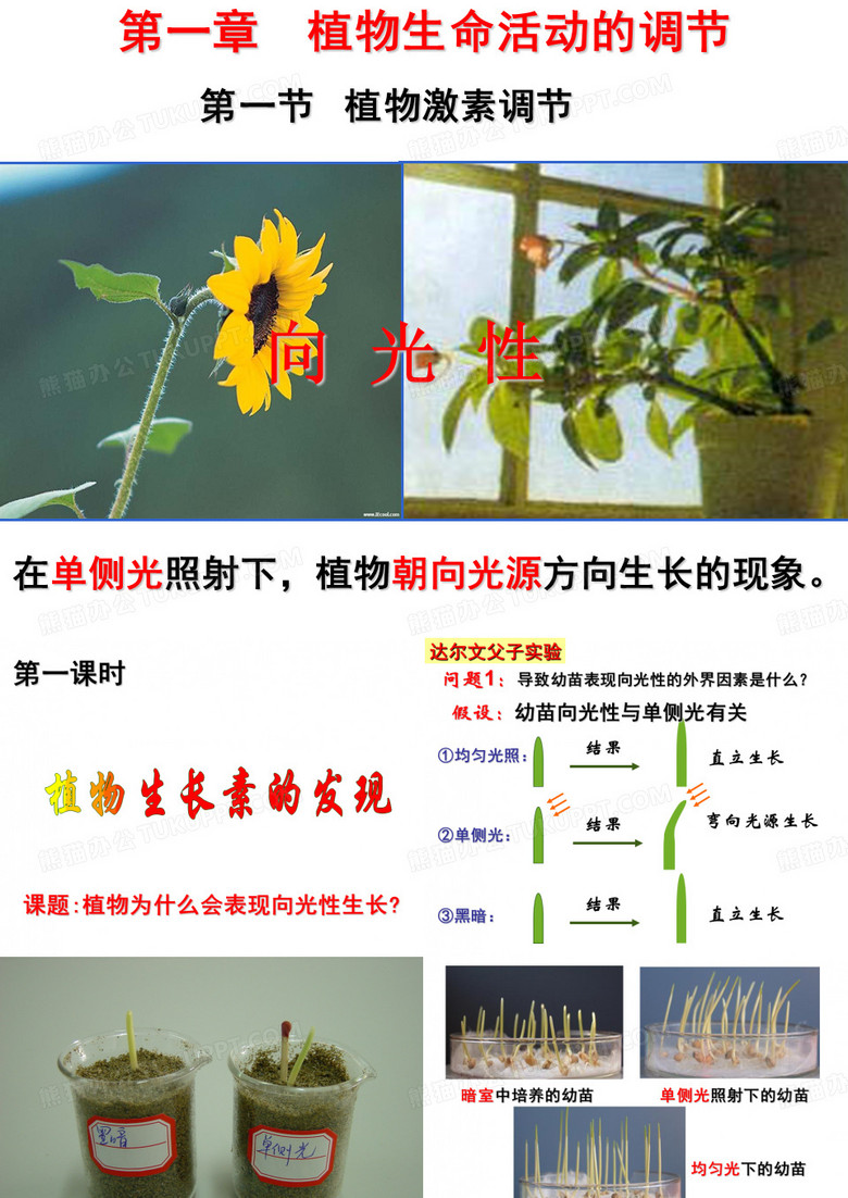 植物激素的调节