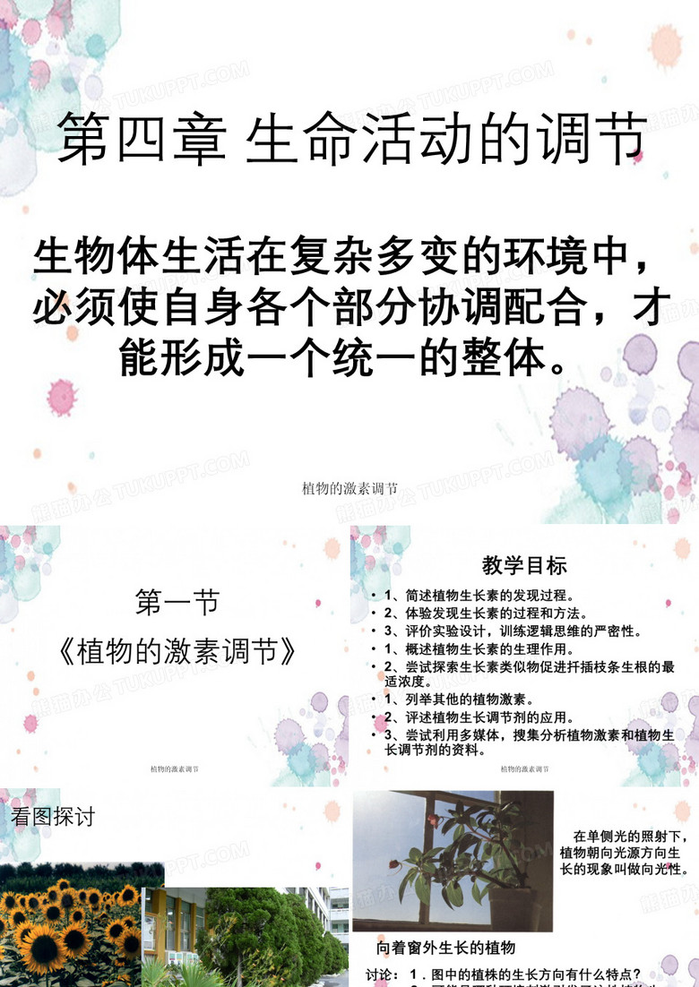 植物的激素调节