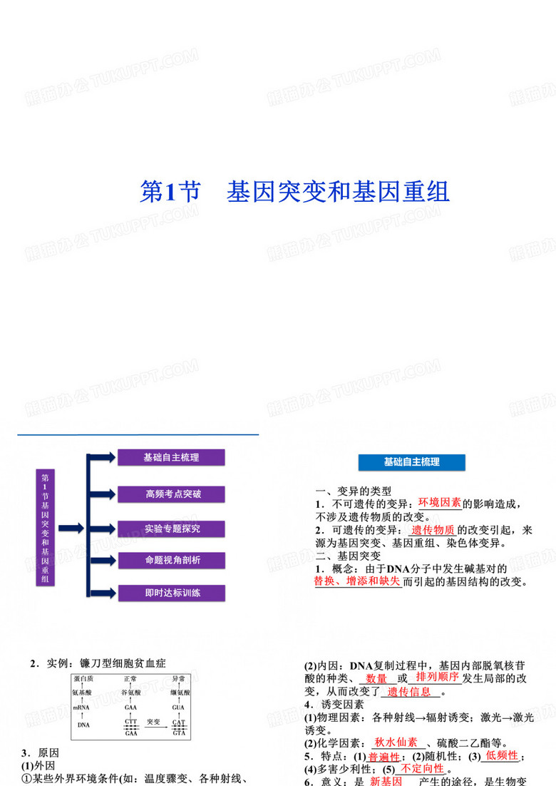 基因突变和基因重组