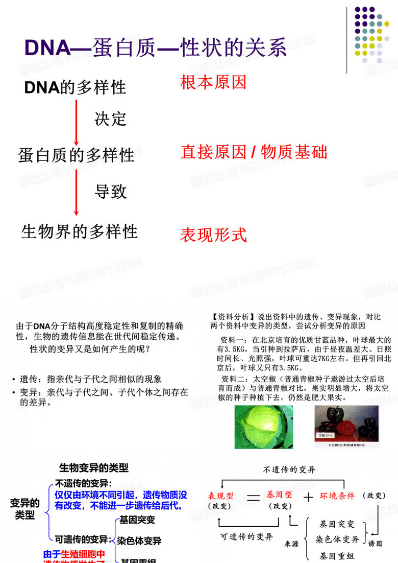 基因突变和基因重组