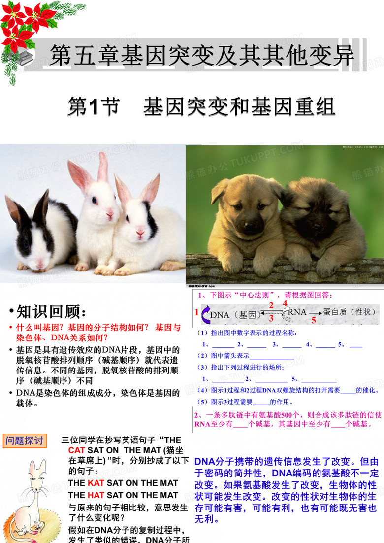 基因突变和基因重组