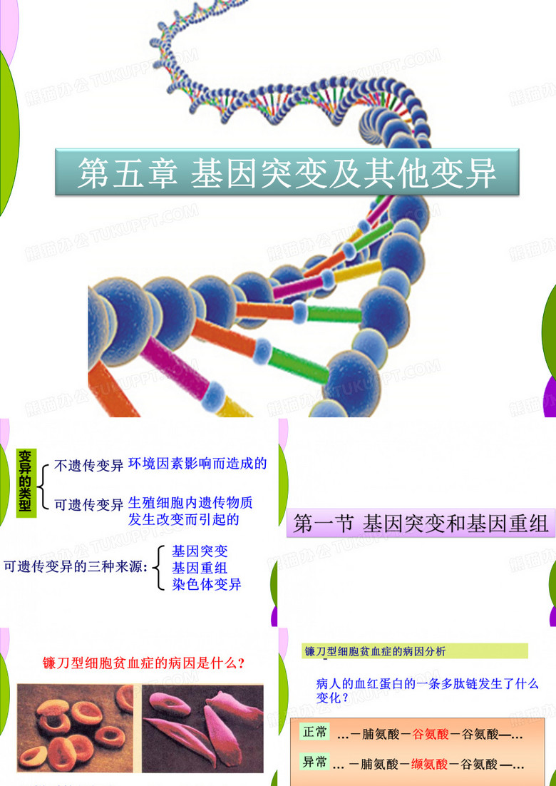 基因突变和基因重组