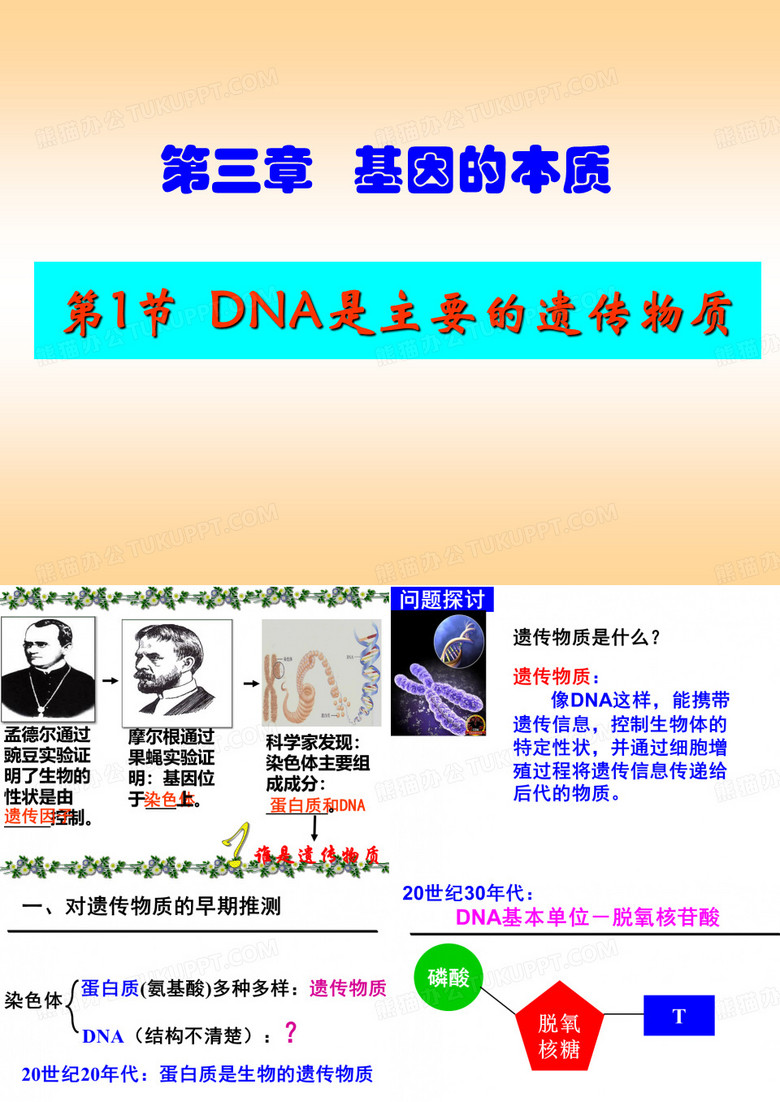 DNA是主要的遗传物质