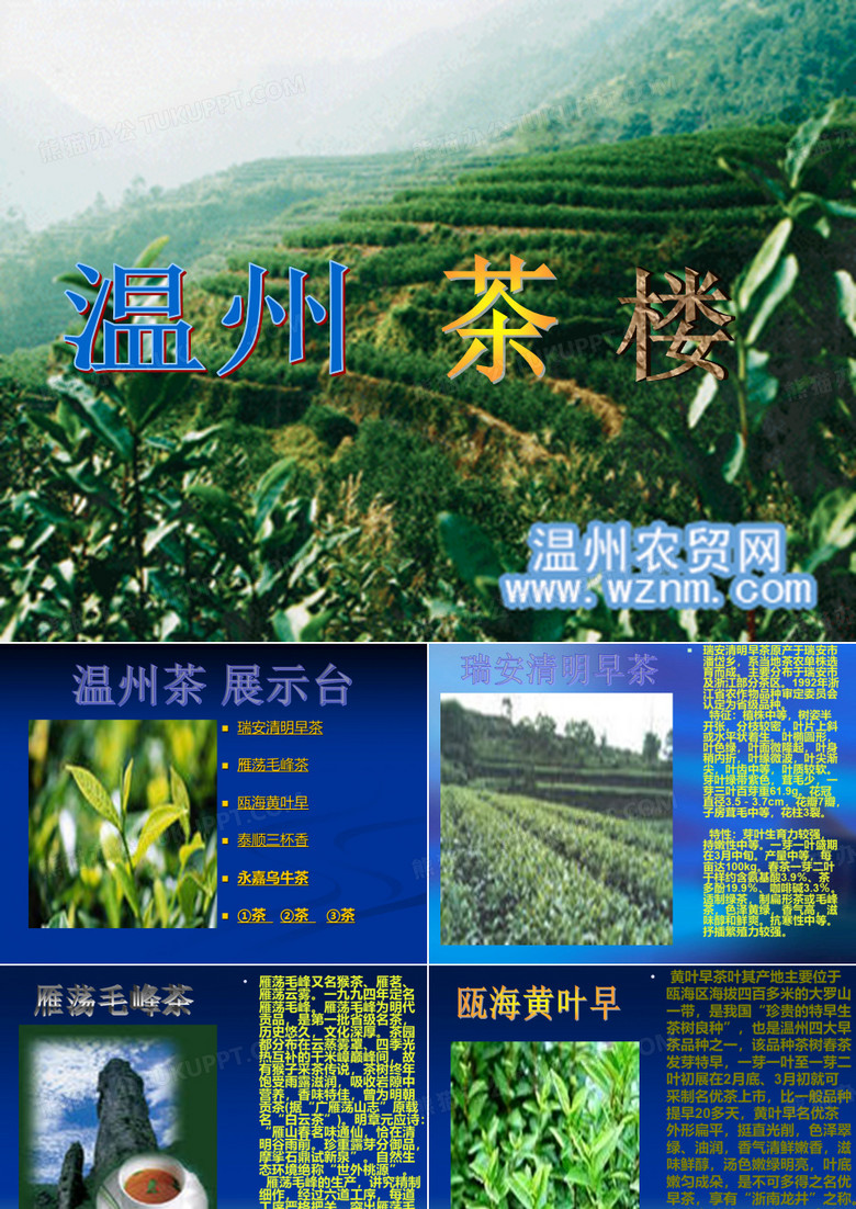 瑞安清明早茶