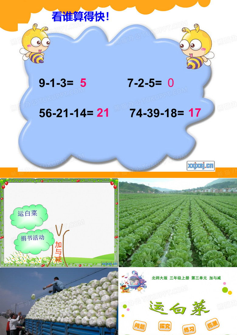 北师大版三年级上册数学《运白菜》