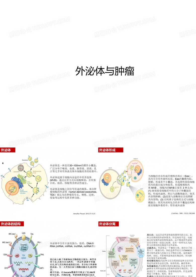 外泌体与肿瘤