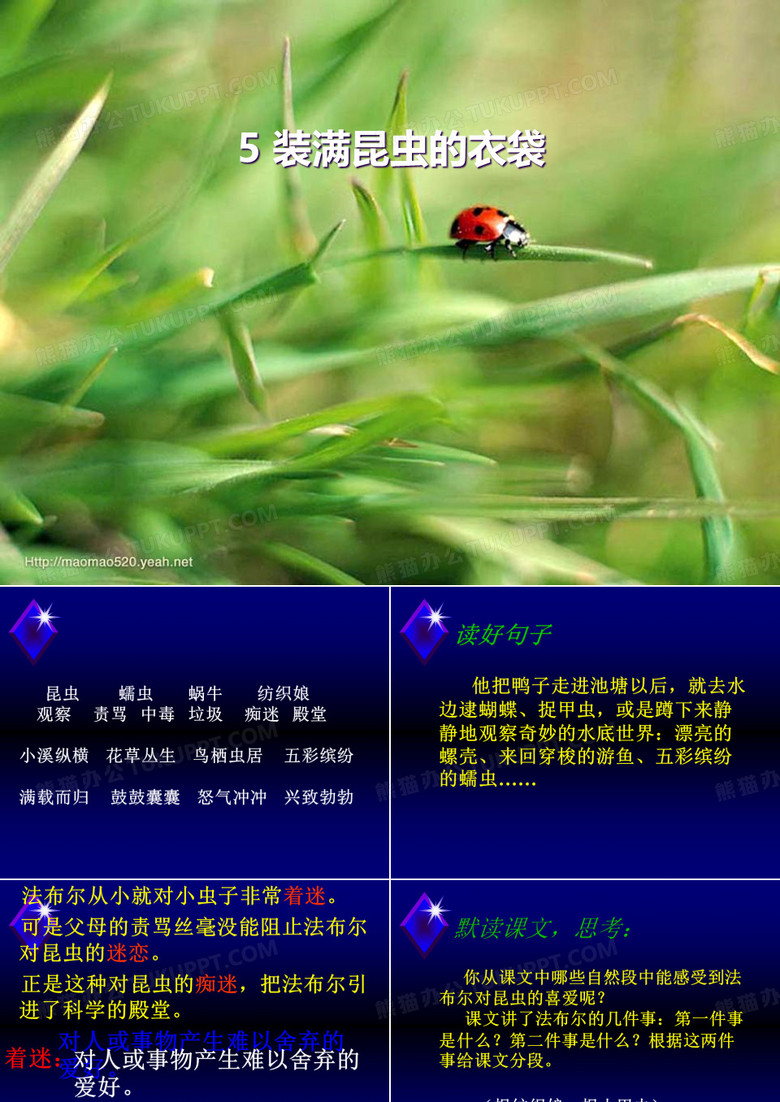《装满昆虫的衣袋》PPT课件五