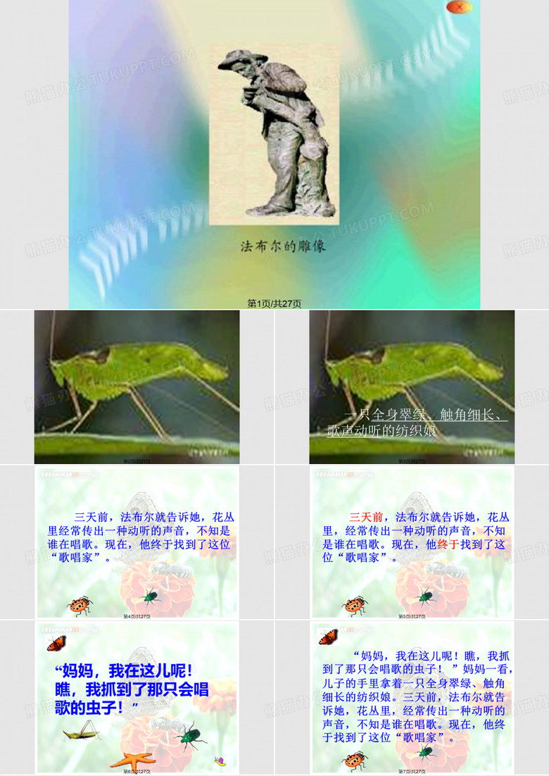 装满昆虫的衣袋苏教五年级上PPT课件