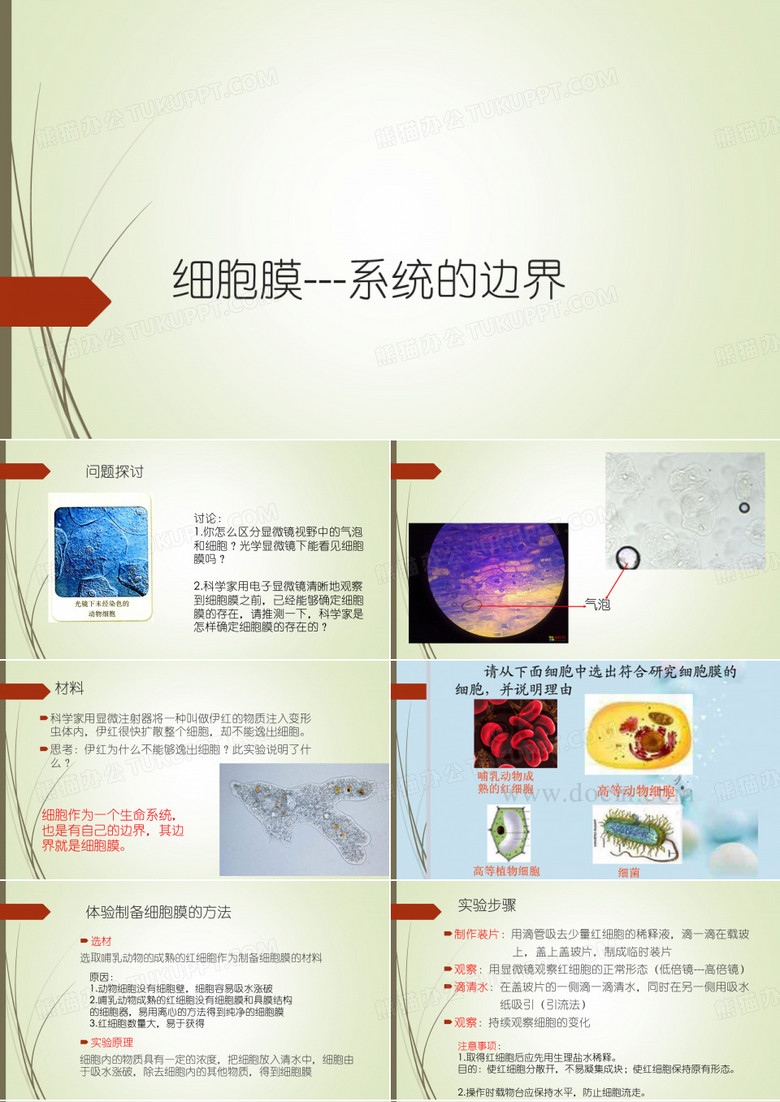 细胞膜---系统的边界