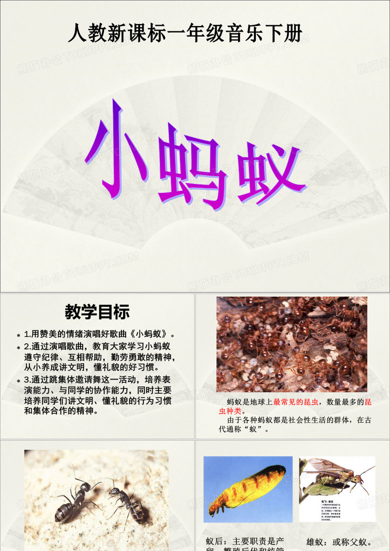 《小蚂蚁》课件