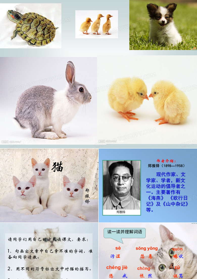 猫  郑振铎