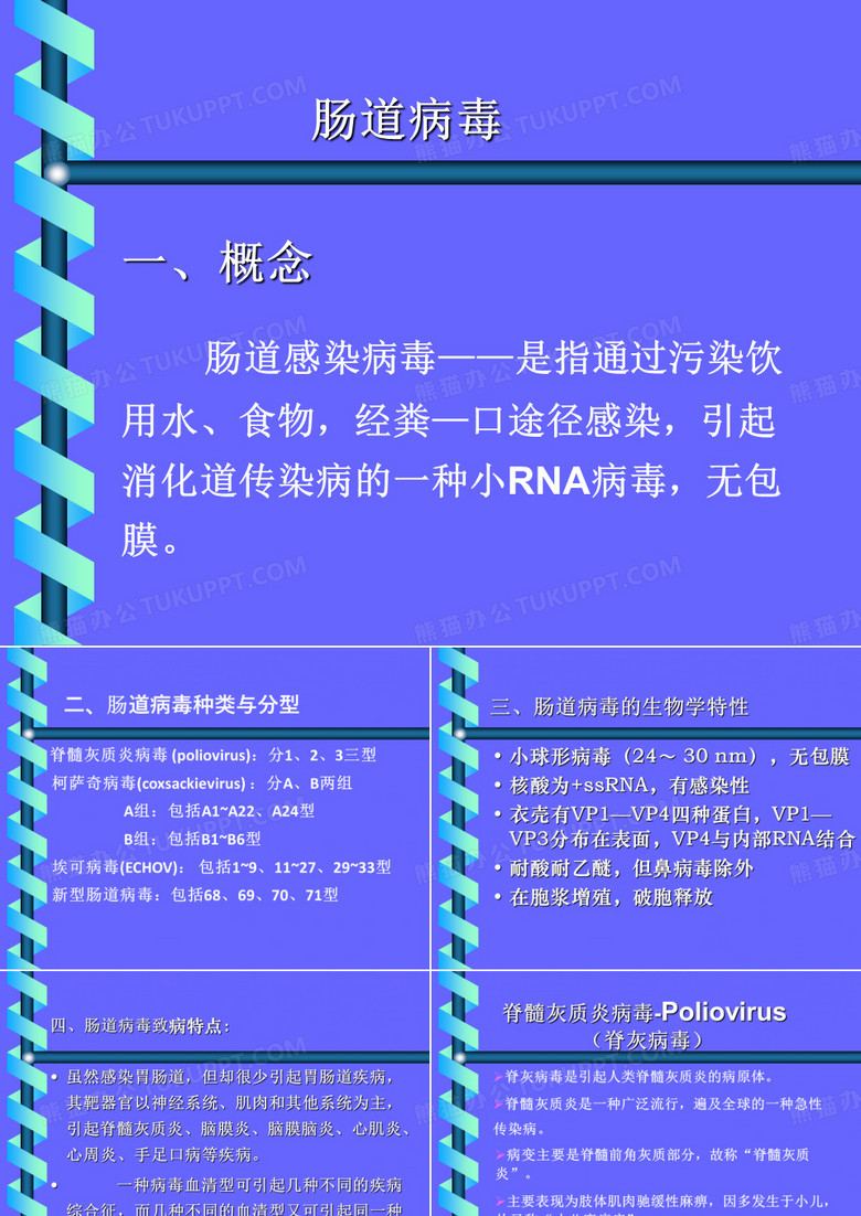 肠道病毒