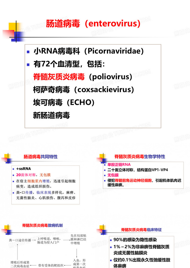 微生物 肠道病毒