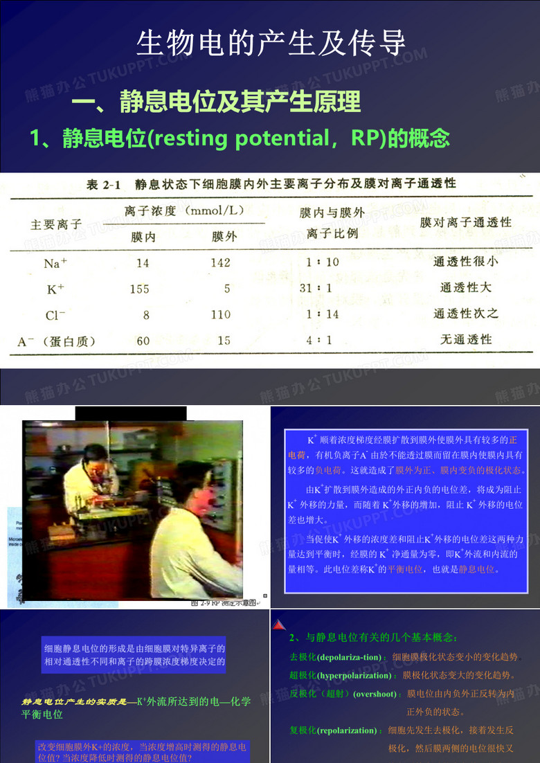 静息电位与动作电位