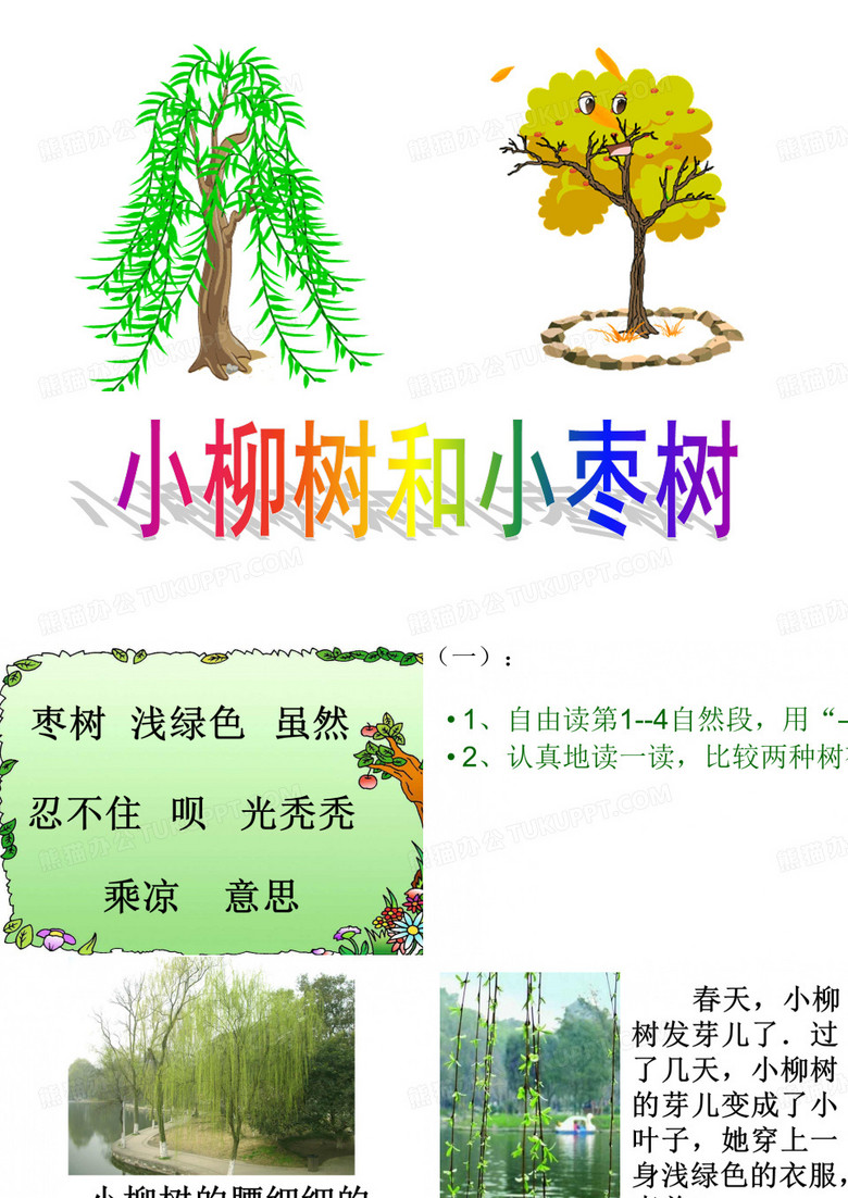 小柳树和小枣树