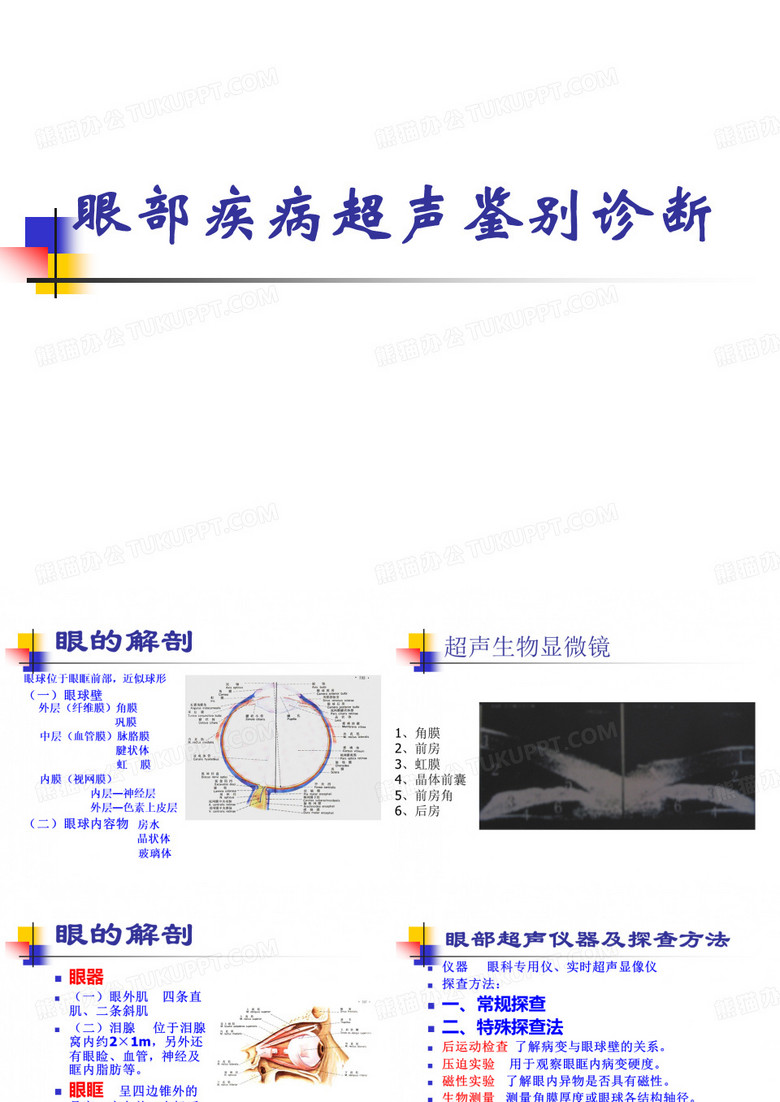 眼球超声