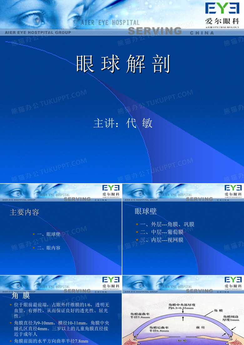 眼球解剖
