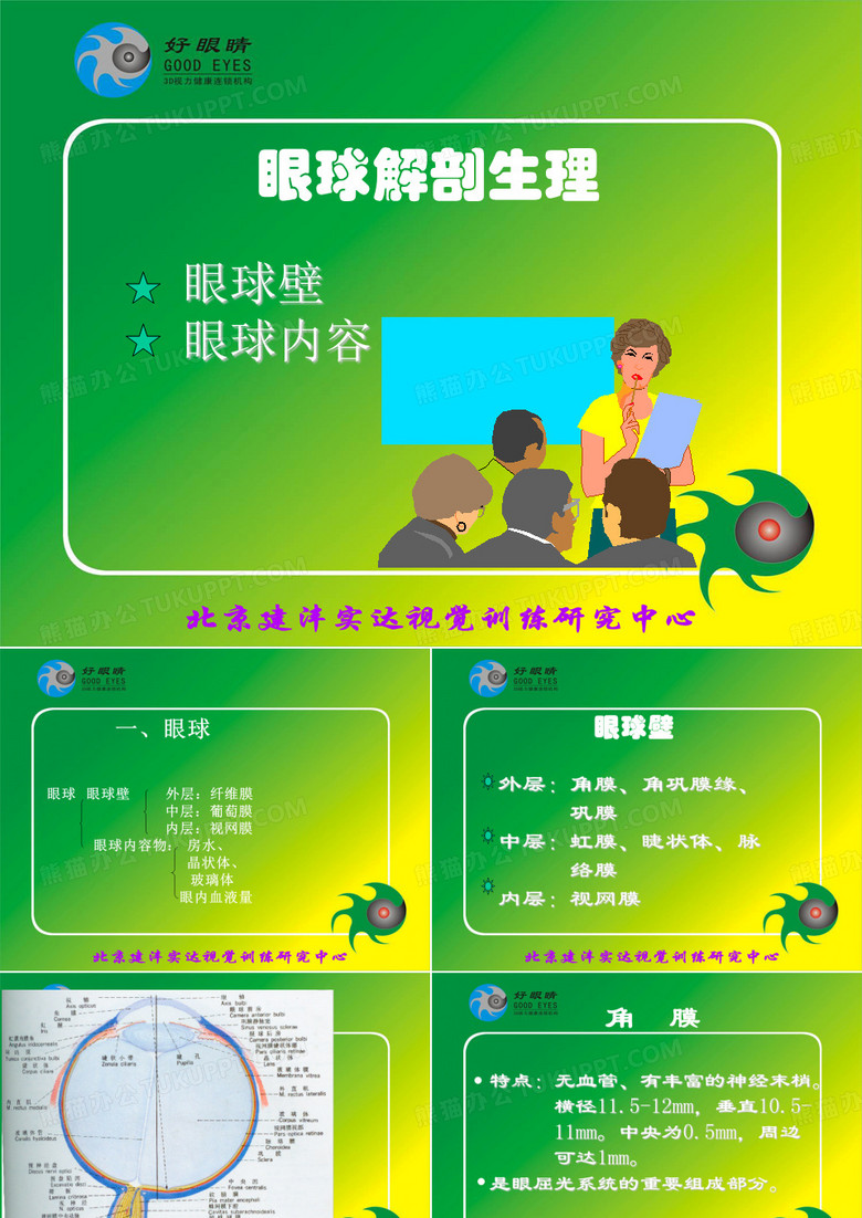 眼球解剖