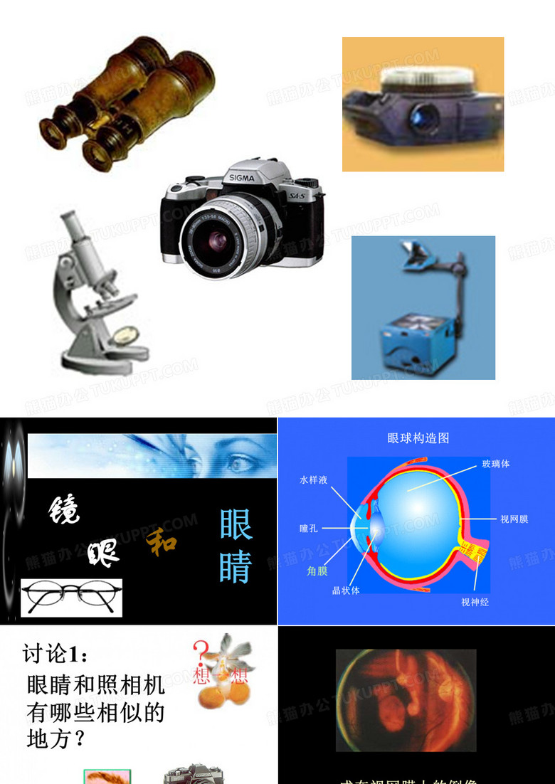 眼球构造图