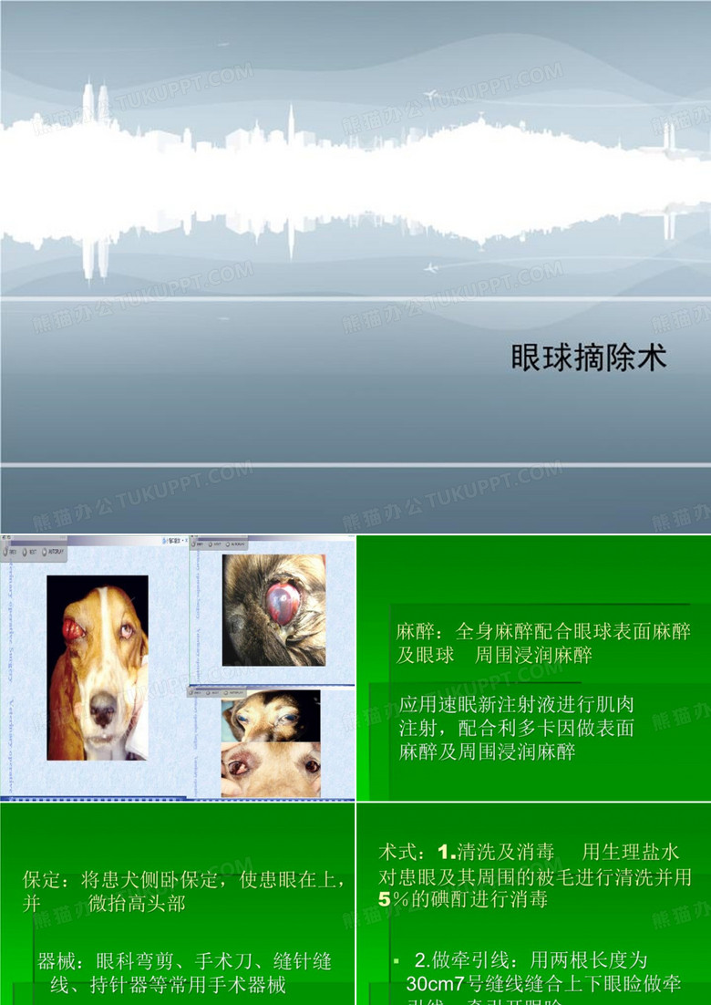 眼球摘除术