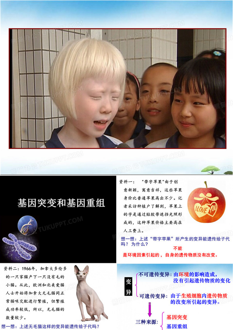 基因突变和基因重组——基因突变