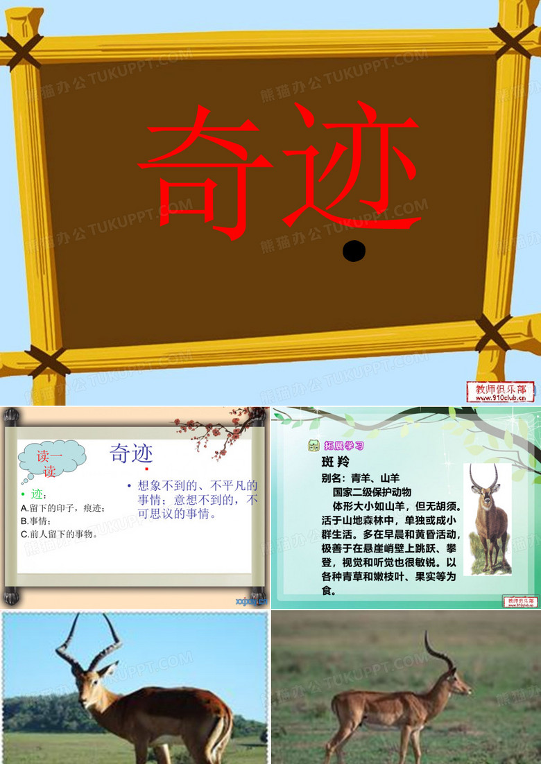 生命的壮歌之生命桥